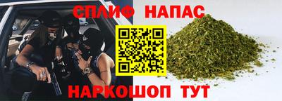 гашик Берёзовский
