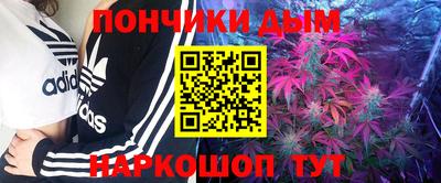 гашик Берёзовский