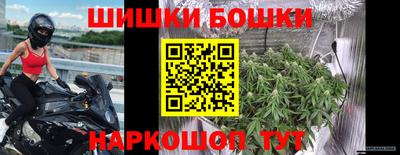 гашик Берёзовский