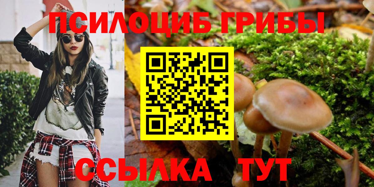 Псилоцибиновые грибы GOLDEN TEACHER  Вход с VPN  Кизляр 